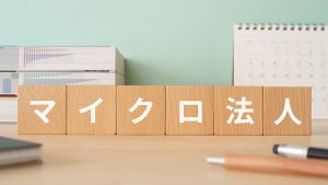 マイクロ法人
